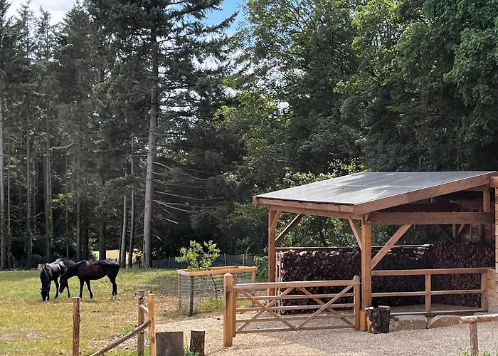 Enjoy Eco Lodge