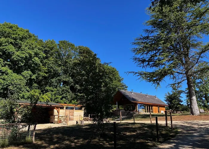 Enjoy Eco Lodge